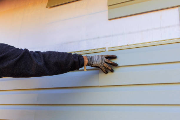 Best Siding Painting and Refinishing  in Al Creek, CO